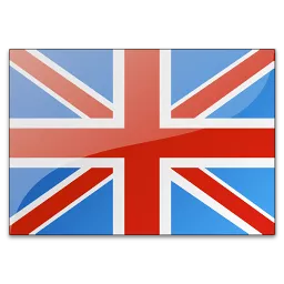 英语翻译